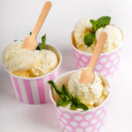 ΞΥΛΙΝA ΚΟΥΤΑΛΙA ΠΑΓΩΤΟΥ ΜΙΑΣ ΧΡΗΣΗΣ DOLPHIN